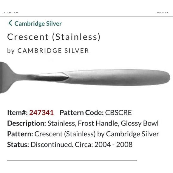 Cambridge Silver Crescent Stainless Teaspoons Set Of 11 Frost Handle Glossy Bowl - Picture 1 of 6